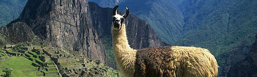 Boundless Journeys: Peru and Bolivia