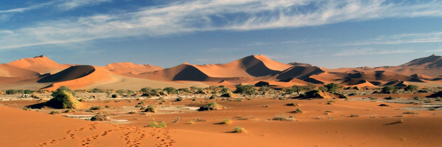 Africa, Nambia Safaris