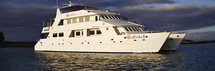 The Athala II New Years Cruise - Galapagos Islands