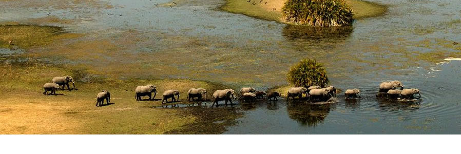 Ultimate Botswana and Victoria Falls Safari